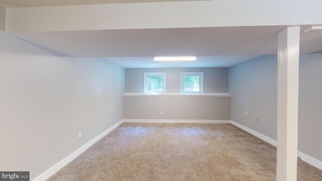 basement featuring light colored carpet