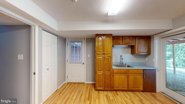 kitchen with light hardwood / wood-style floors, sink, and a textured ceiling