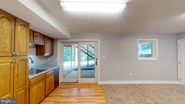 kitchen featuring sink and light carpet