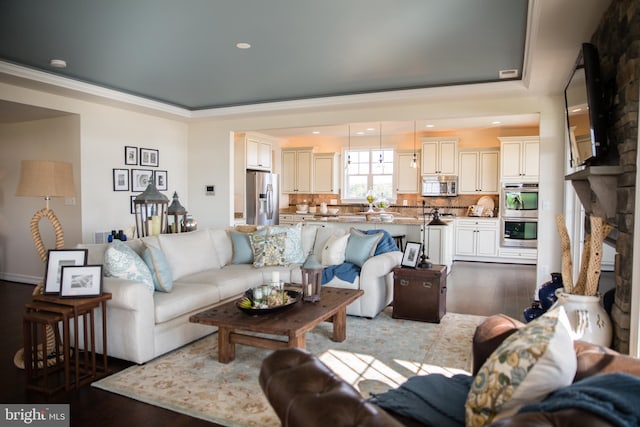 living room featuring hardwood / wood-style flooring, crown molding, and a raised ceiling