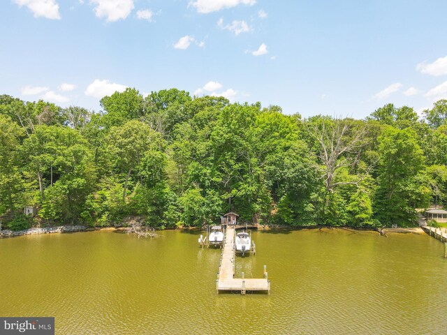 property view of water with a boat dock