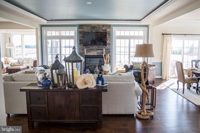 living room featuring crown molding, dark hardwood / wood-style floors, and a stone fireplace