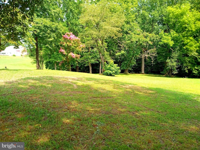 17410 Croom Rd, Brandywine, MD 20613