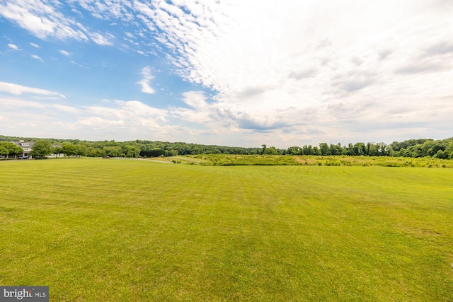 view of yard with a rural view