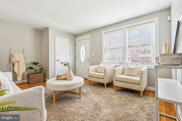 living room featuring hardwood / wood-style floors