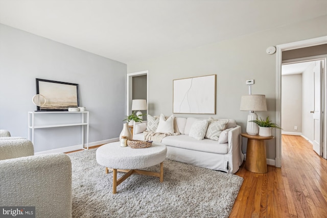 living room featuring hardwood / wood-style floors