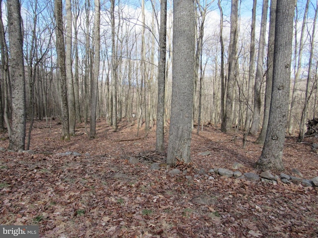 Cove Run Acres Dr, Mathias WV, 26812 land for sale