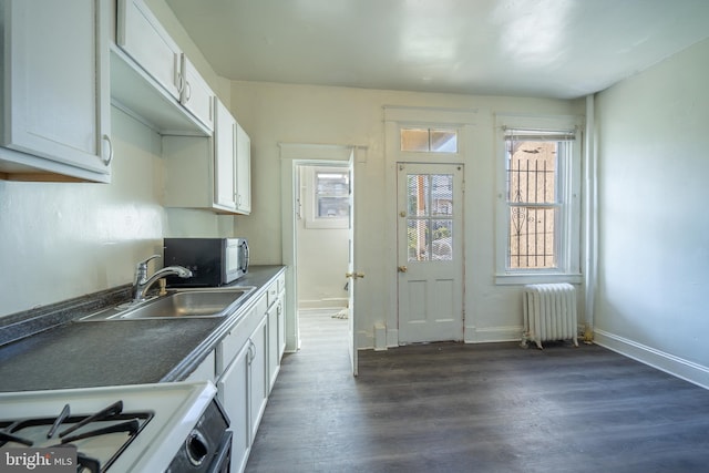 kitchen with a sink, stainless steel microwave, dark wood-style floors, radiator heating unit, and white cabinetry