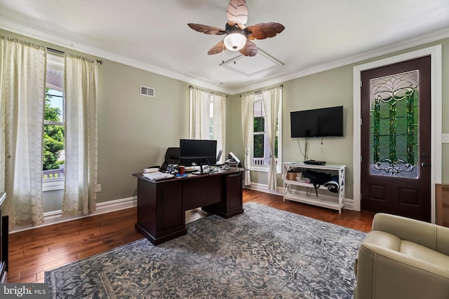 office space featuring ceiling fan, dark hardwood / wood-style flooring, and ornamental molding