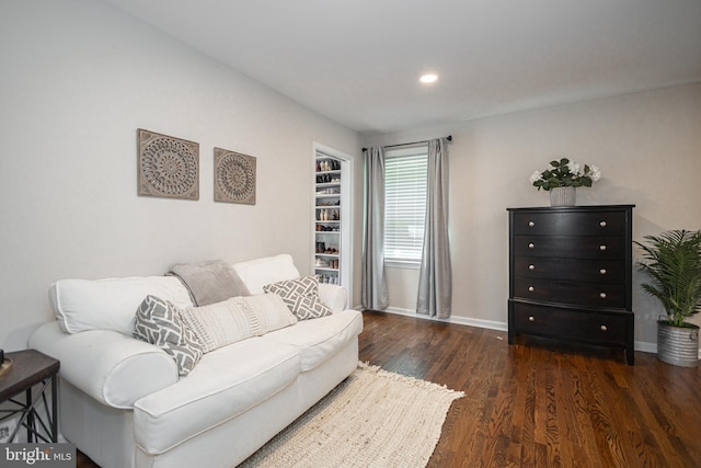 living room featuring dark wood-type flooring