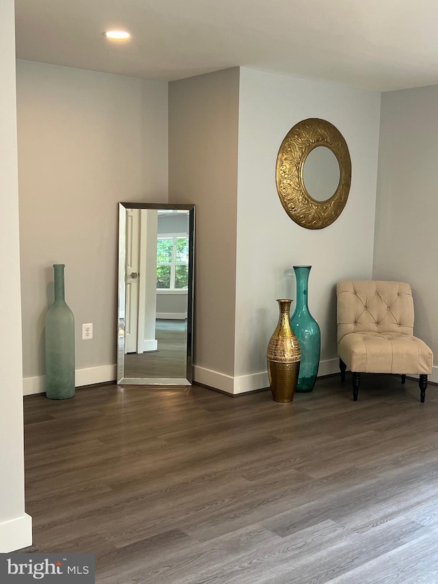 living area with dark hardwood / wood-style flooring