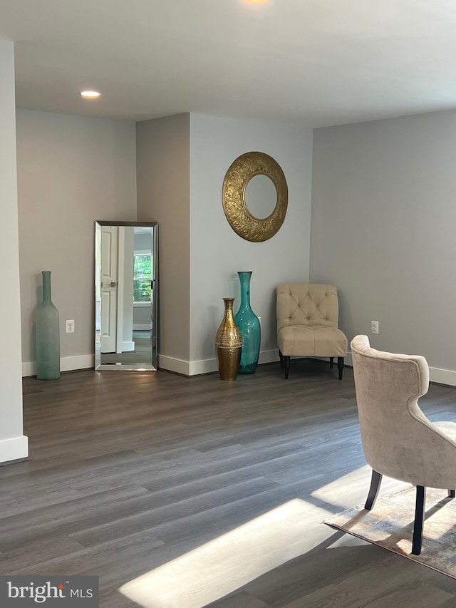 living area with dark hardwood / wood-style floors