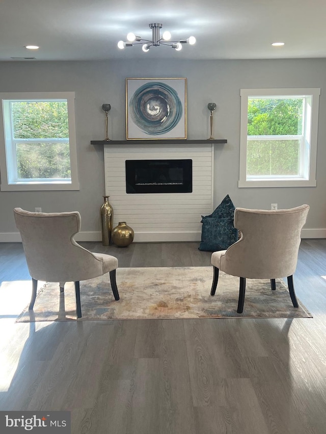 sitting room featuring wood-type flooring and a healthy amount of sunlight