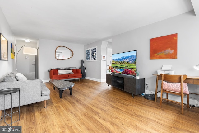 living room featuring light hardwood / wood-style floors