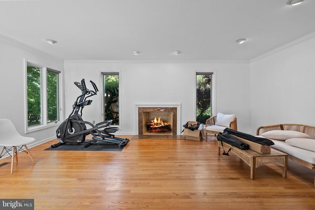 exercise room featuring light wood-type flooring, plenty of natural light, and crown molding