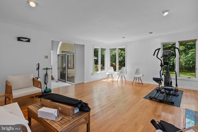 exercise area with light wood-type flooring, a wealth of natural light, and crown molding