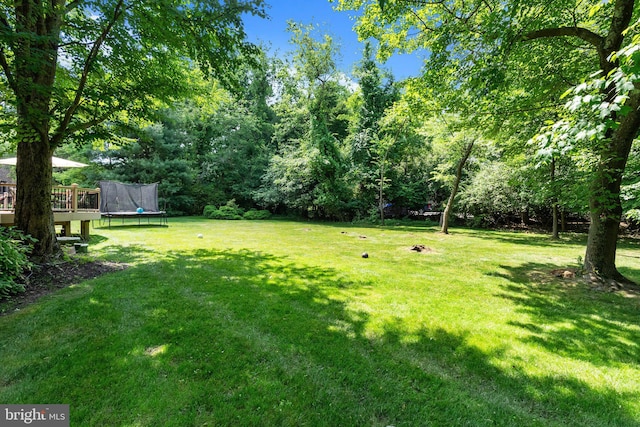 view of yard featuring a trampoline and a wooden deck