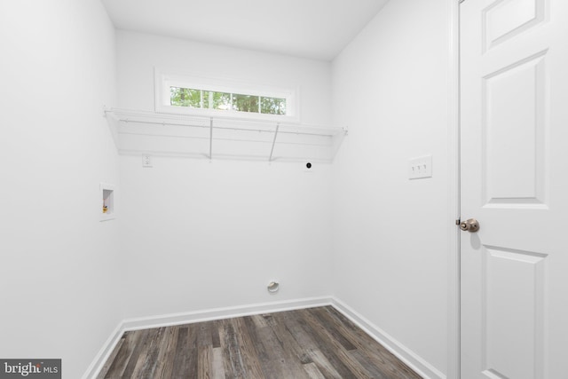 laundry area featuring electric dryer hookup, dark hardwood / wood-style floors, and washer hookup