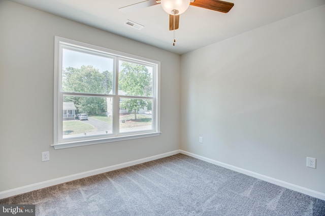 carpeted spare room with a healthy amount of sunlight