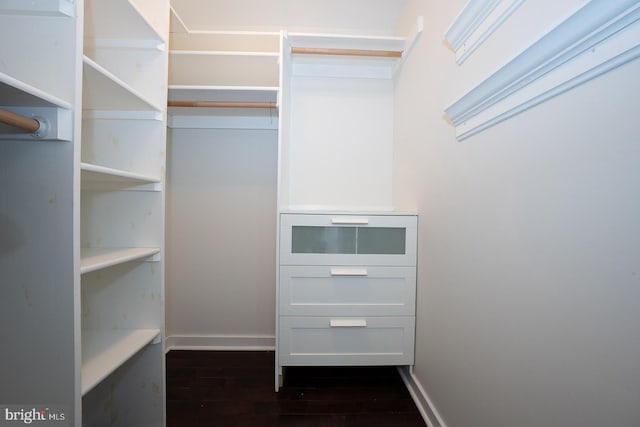 view of walk in closet