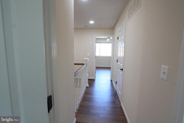 hall featuring dark wood-type flooring