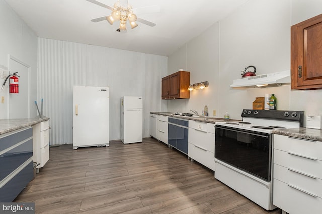 kitchen featuring white appliances, ceiling fan, sink, exhaust hood, and wood-type flooring