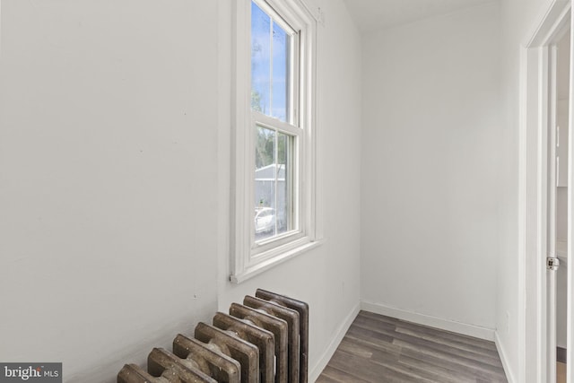 interior space with wood-type flooring