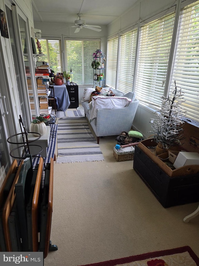 sunroom / solarium with plenty of natural light and ceiling fan