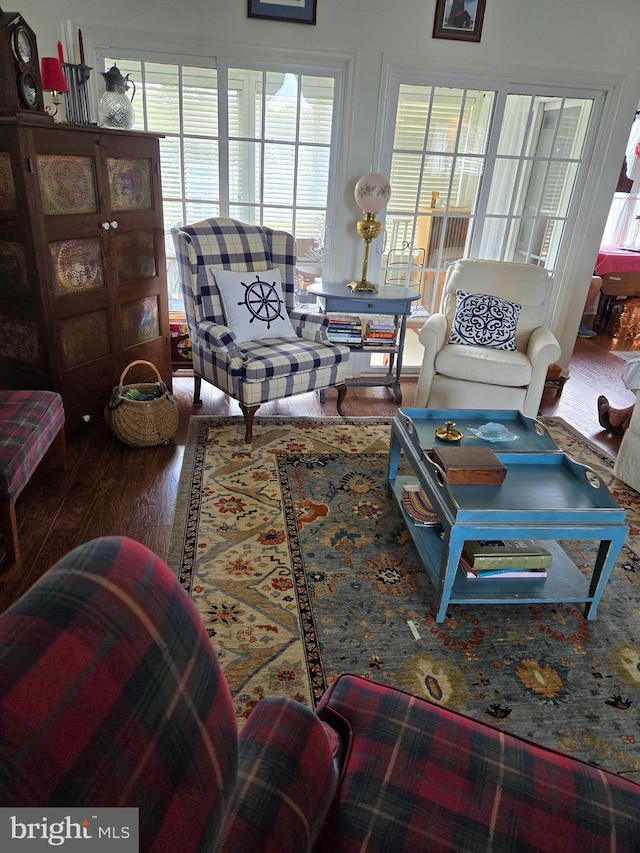 living room featuring hardwood / wood-style floors