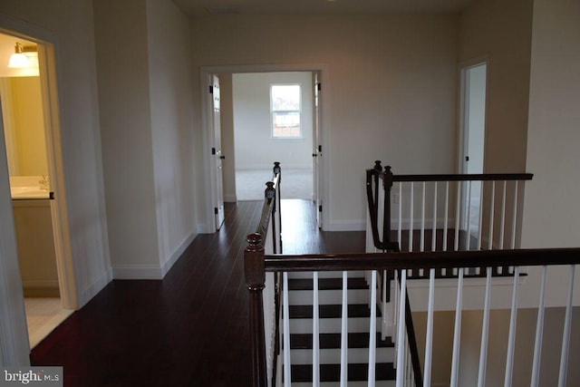 hallway featuring dark hardwood / wood-style flooring