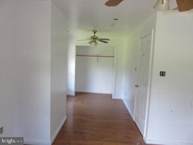 corridor featuring dark wood-type flooring