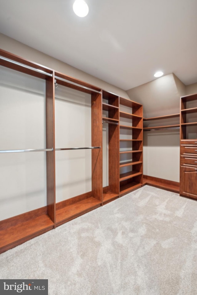 walk in closet with carpet floors