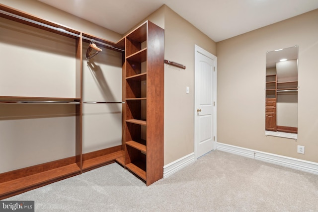 spacious closet with light carpet