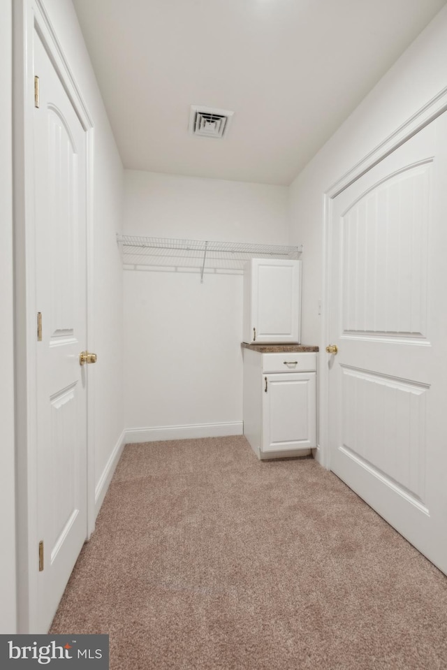 walk in closet with light colored carpet