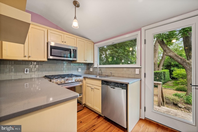 kitchen featuring a wealth of natural light, stainless steel appliances, and vaulted ceiling