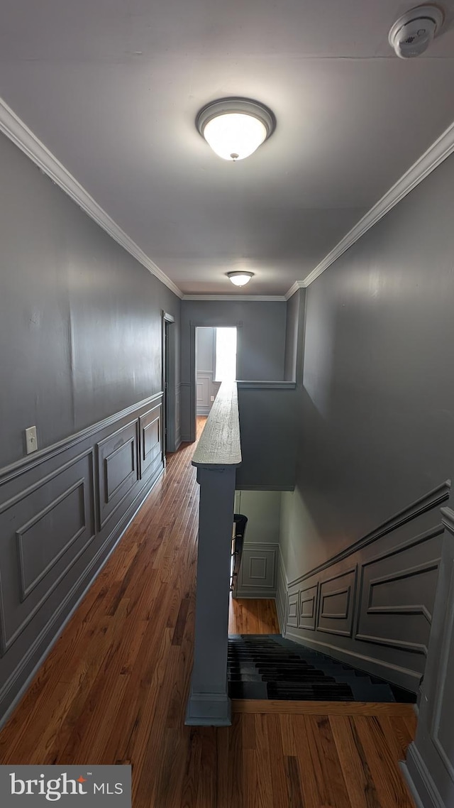 hallway featuring dark hardwood / wood-style flooring and ornamental molding