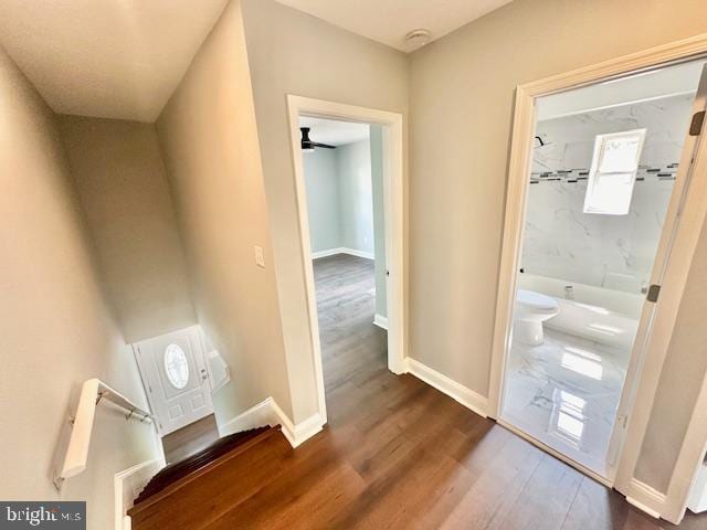 stairs with hardwood / wood-style floors and ceiling fan