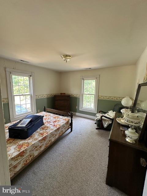 bedroom with multiple windows and carpet floors