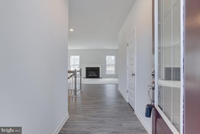 hallway with wood-type flooring