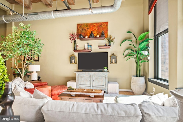 living room featuring hardwood / wood-style flooring