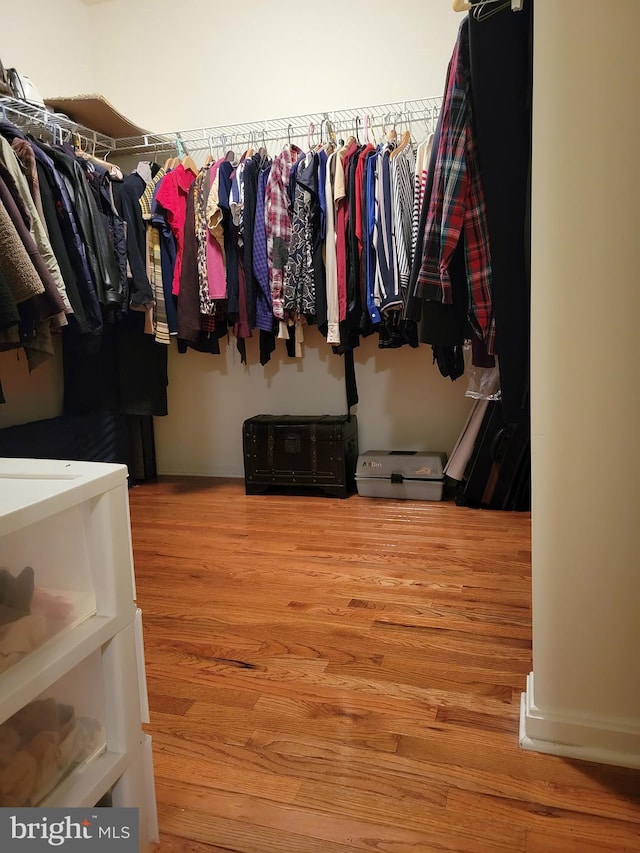 spacious closet with hardwood / wood-style floors