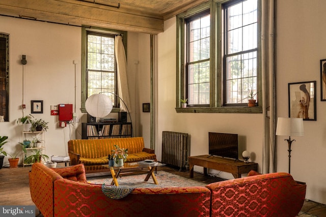 living area featuring radiator heating unit, wood-type flooring, and plenty of natural light