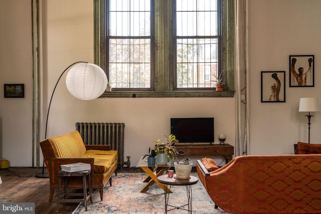 living area with wood-type flooring and radiator