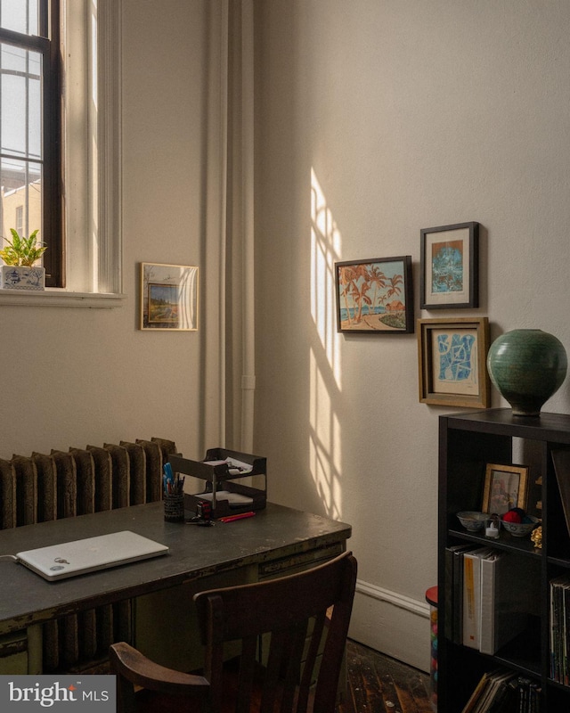 dining area with radiator heating unit