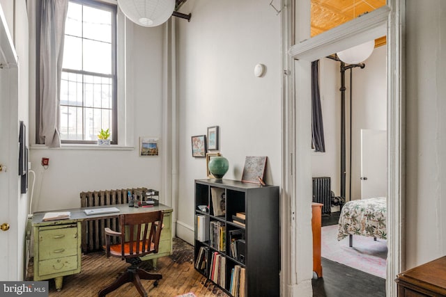 office space featuring radiator and dark hardwood / wood-style flooring