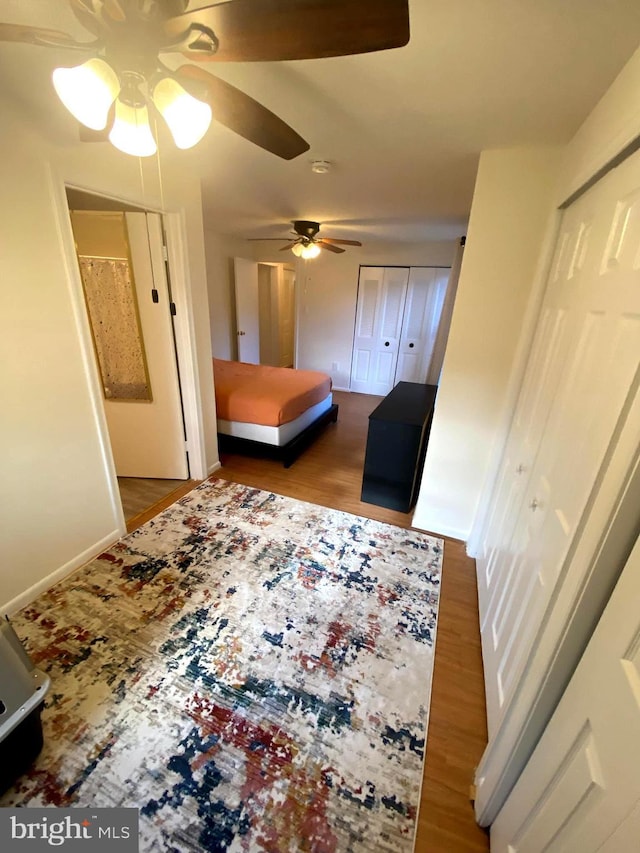 bedroom with hardwood / wood-style flooring, ceiling fan, and multiple closets