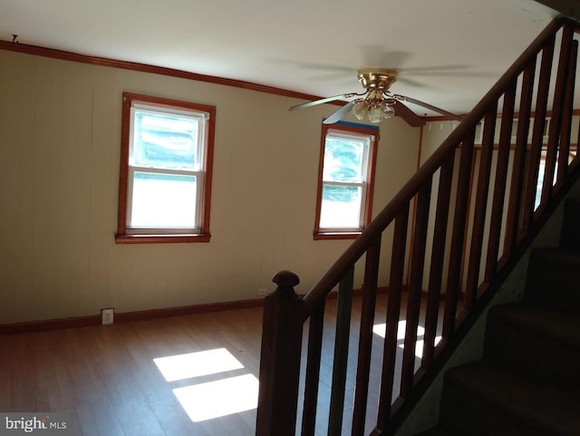 61AND63 Dune Dr, North East, MD 21901 - stairs featuring ornamental molding, wood finished floors, a ceiling fan, and baseboards