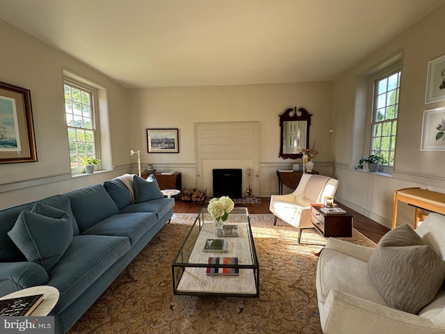 living room with hardwood / wood-style flooring