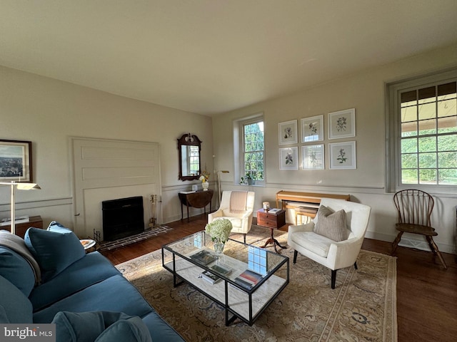 living room with dark hardwood / wood-style floors and a healthy amount of sunlight