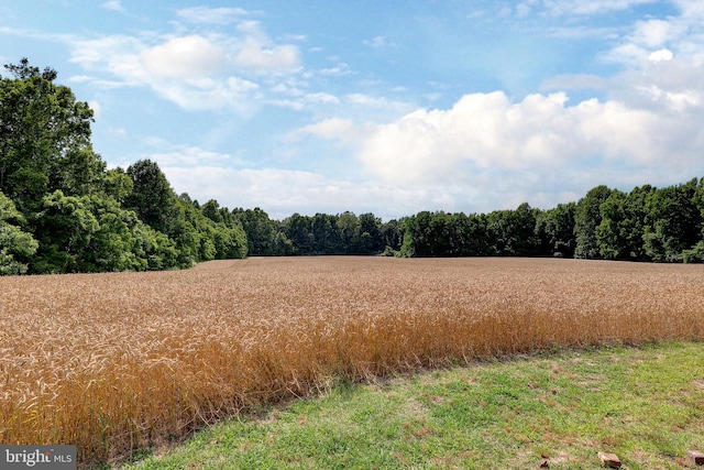 view of landscape